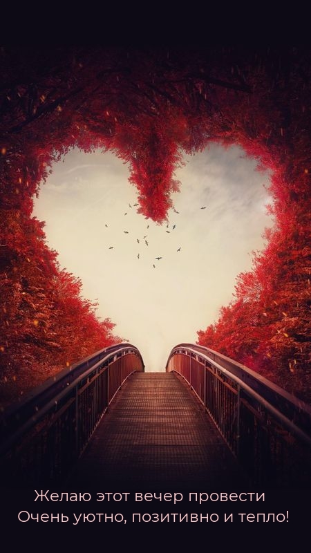 Желаю этот вечер провести очень уютно, позитивно и тепло!