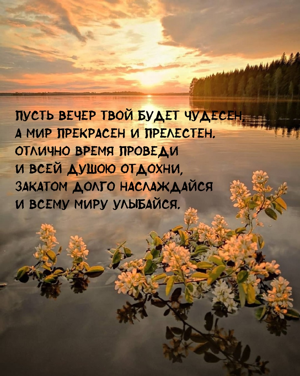 Пусть вечер твой будет чудесен, а мир прекрасен и прелестен.