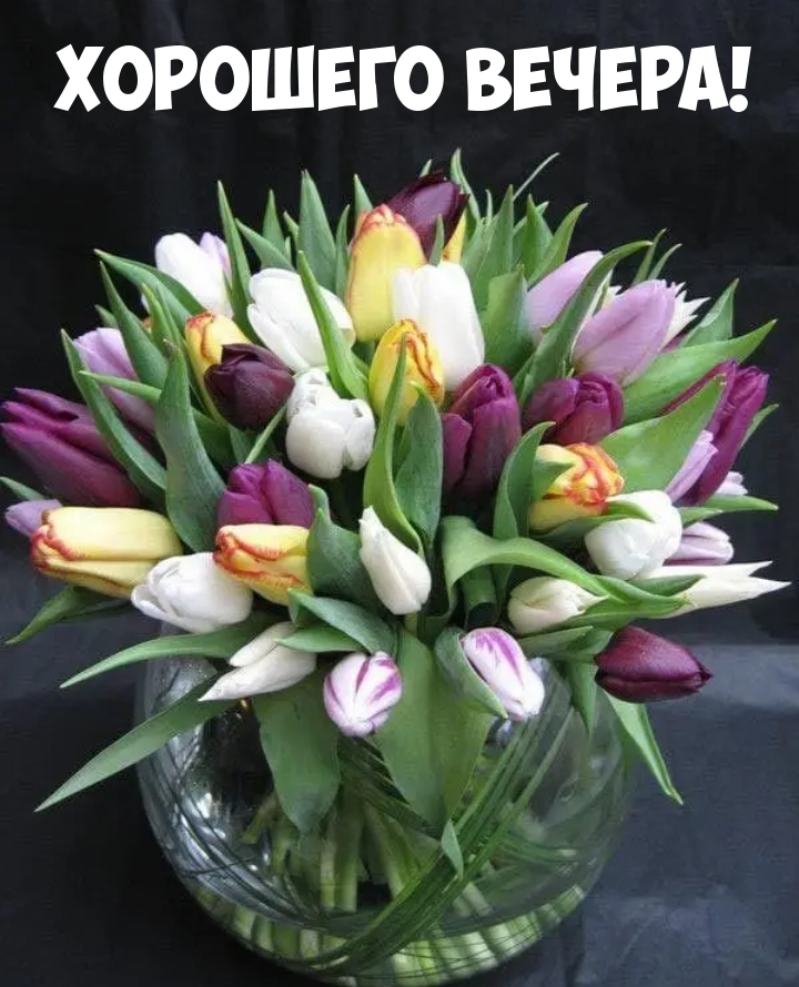 Хорошего вечера!