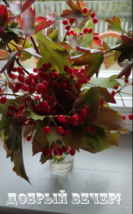 Добрый вечер!