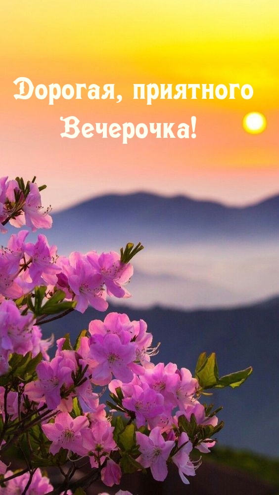 Дорогая, приятного Вечерочка!
