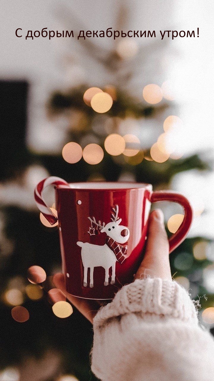 С добрым декабрьским утром!