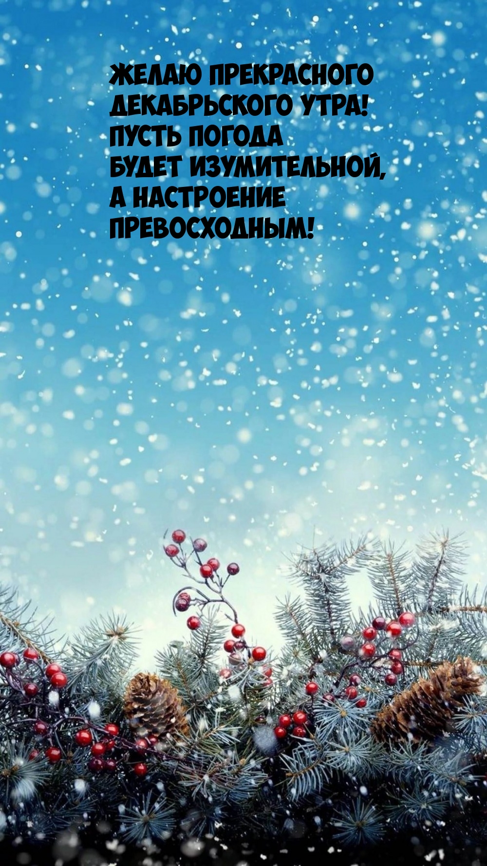 Желаю прекрасного декабрьского утра!