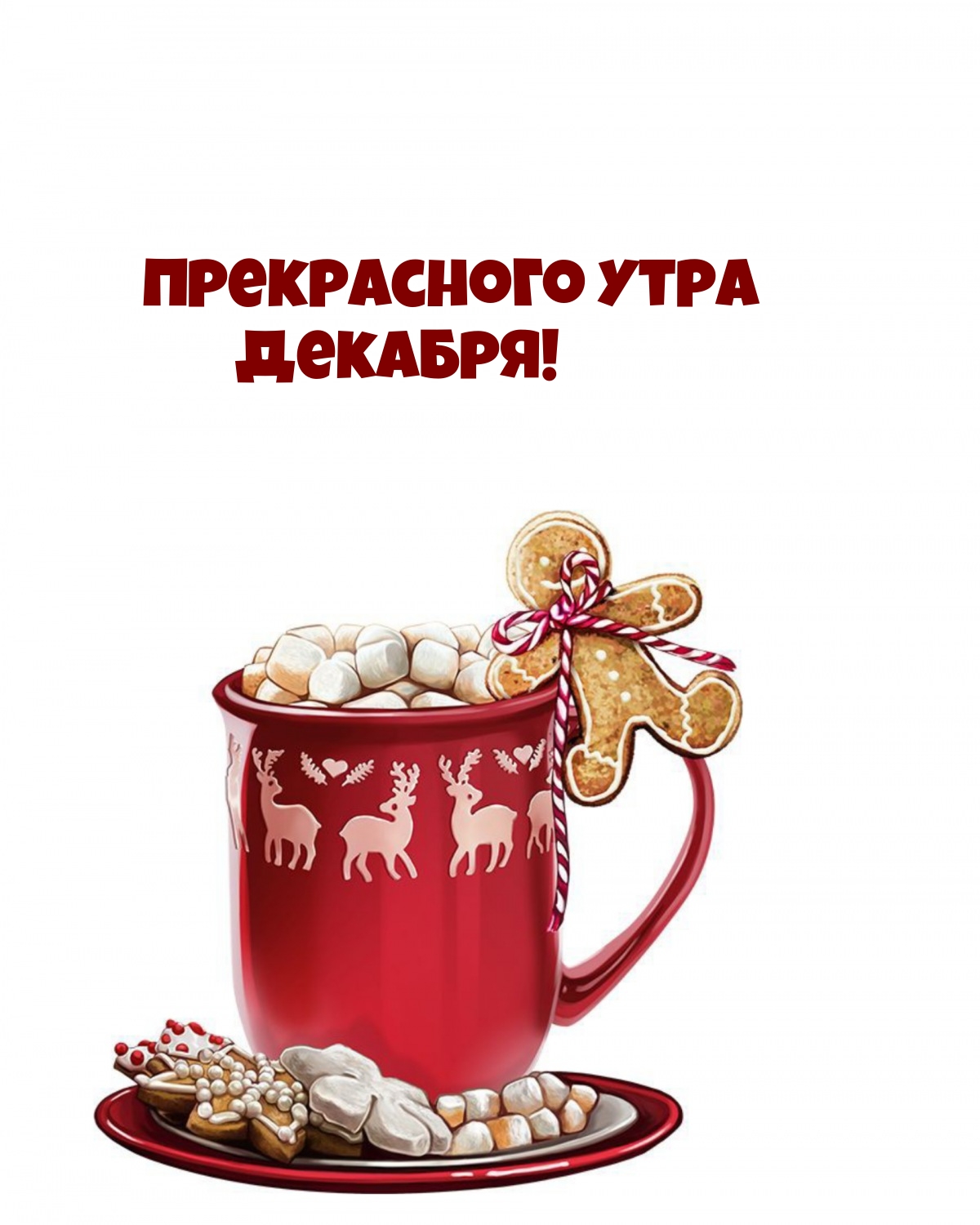 Прекрасного утра Декабря!