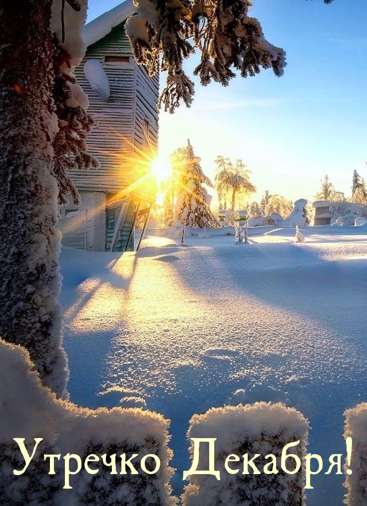 Утречко Декабря!