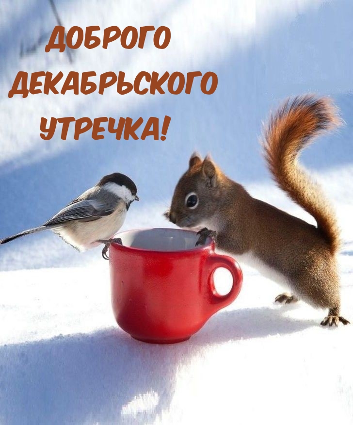 Доброго Декабрьского Утречка! 