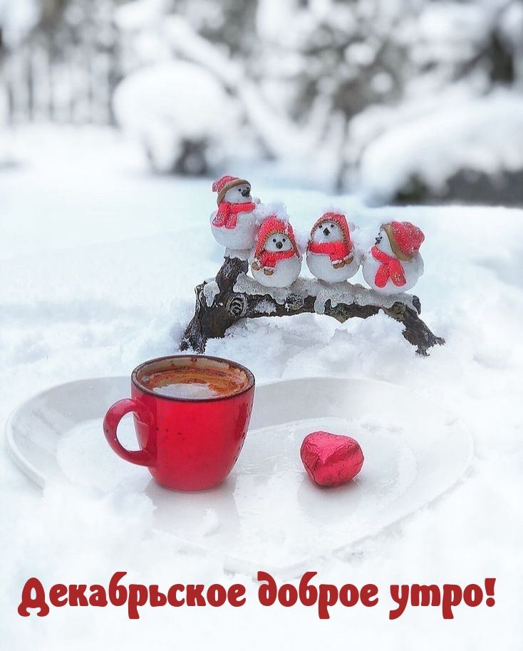 Декабрьское доброе утро!