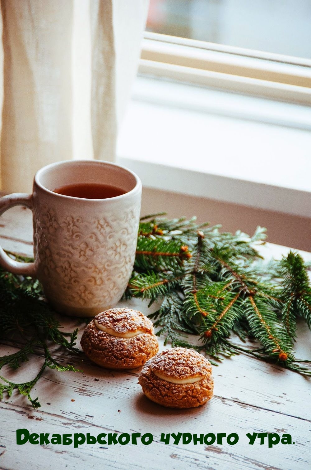 Декабрьского чудного утра.