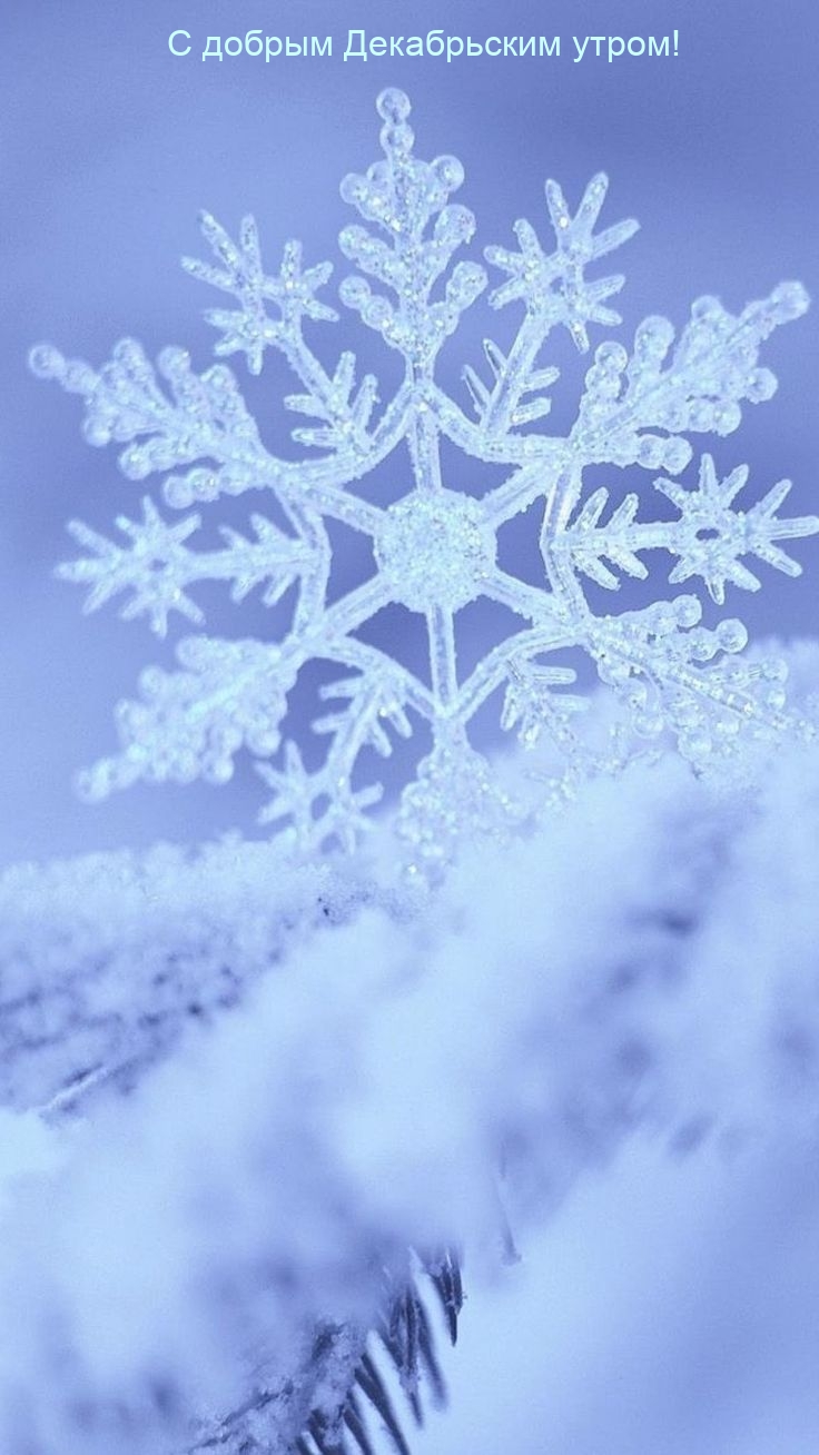 С добрым Декабрьским утром!