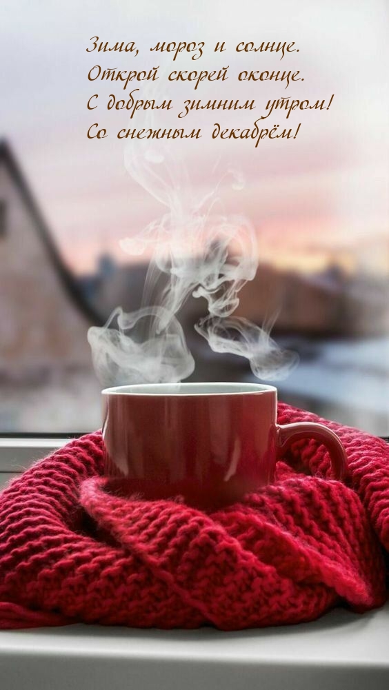 С добрым зимним утром! Со снежным декабрём!
