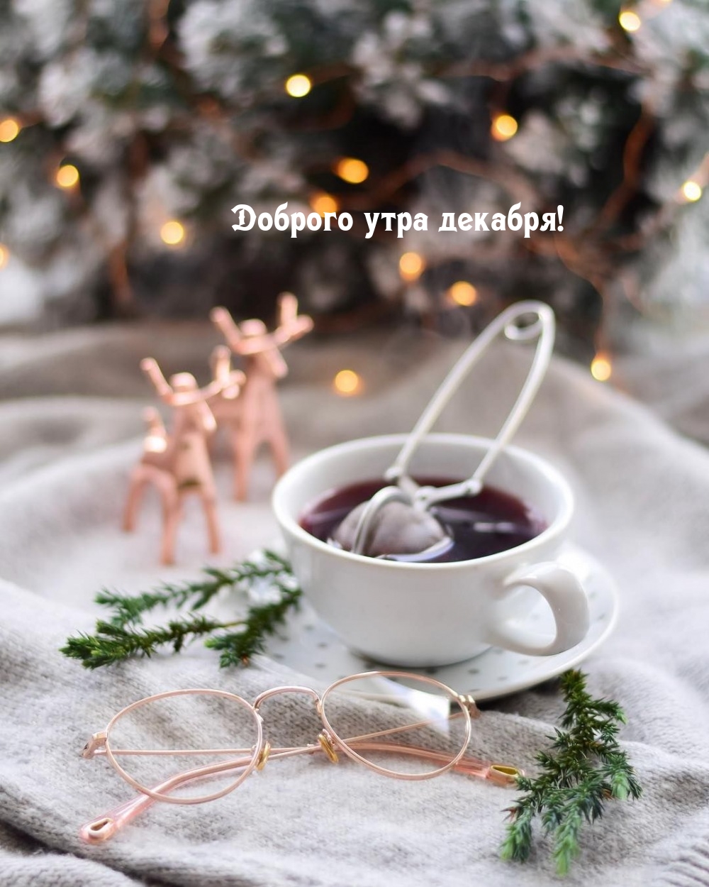 Доброго утра декабря!