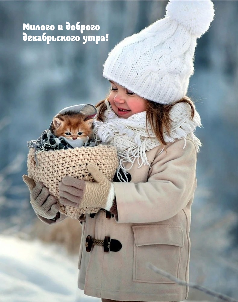 Милого и доброго декабрьского утра! 