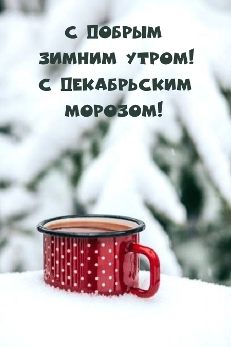 С добрым зимним утром! С декабрьским морозом!