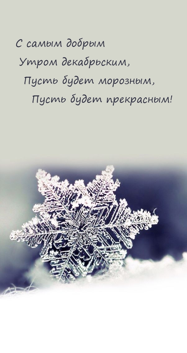 С самым добрым Утром декабрьским, пусть будет морозным