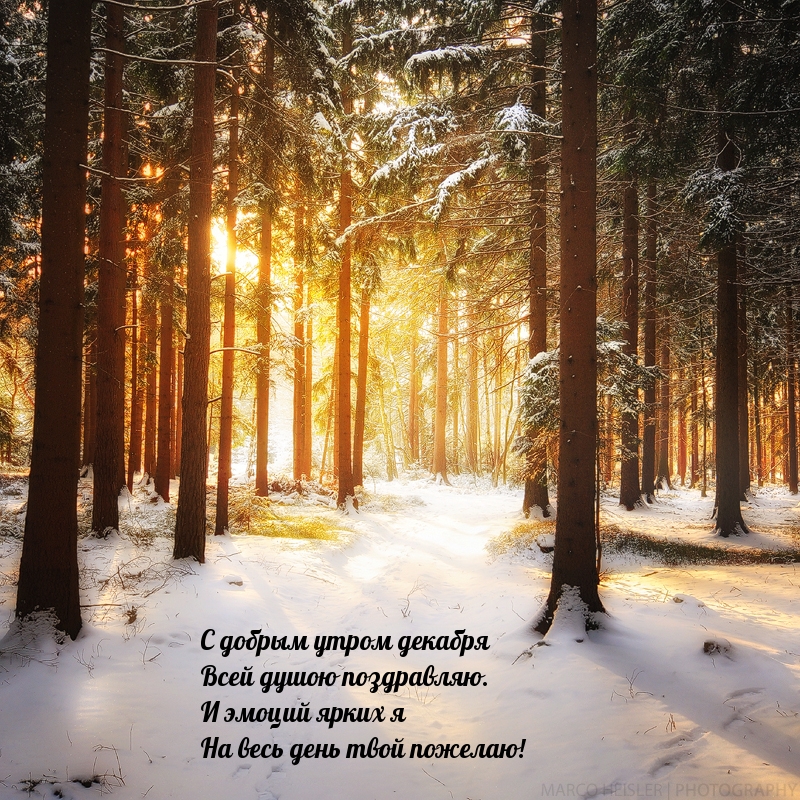 С добрым утром декабря всей душою поздравляю.