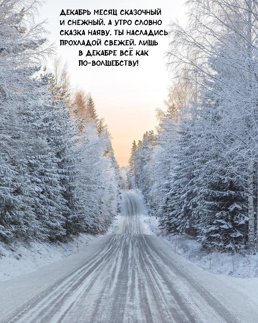 Декабрь месяц сказочный и снежный.