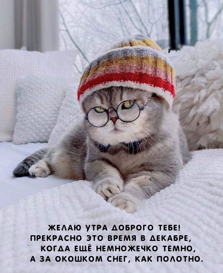 Желаю утра доброго тебе! Прекрасно это время в декабре