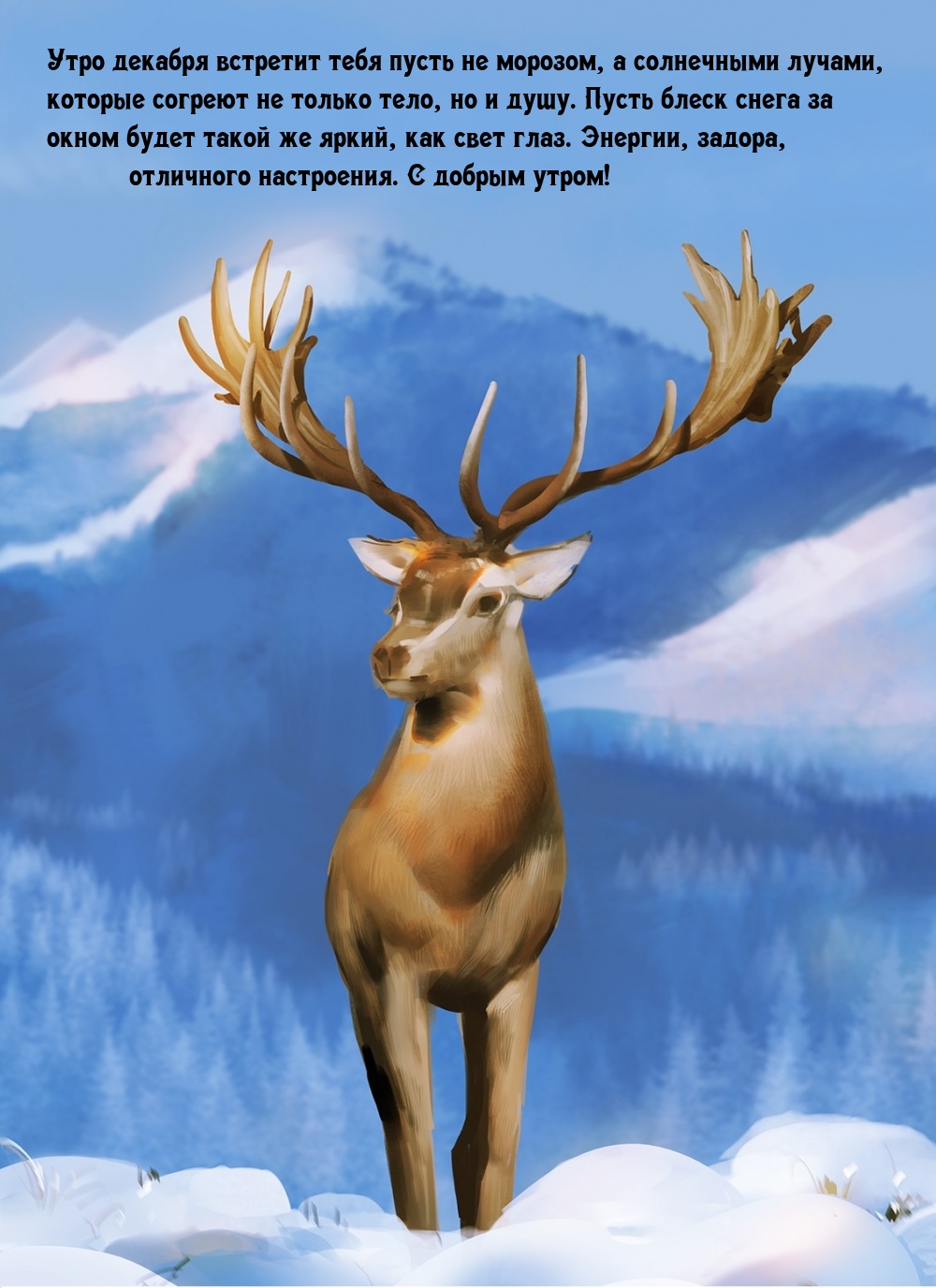Утро декабря встретит тебя пусть не морозом, а солнечными лучами