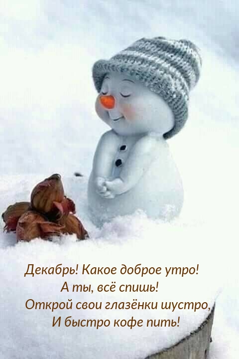 Декабрь! Какое доброе утро! А ты, всё спишь!
