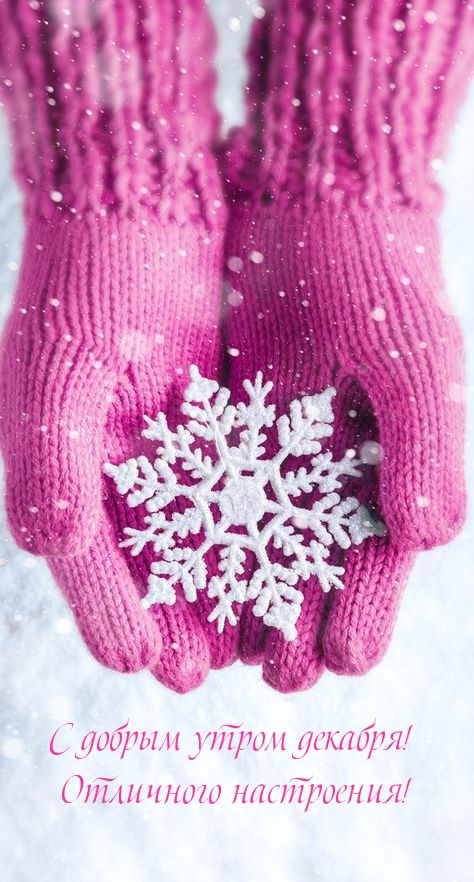 С добрым утром декабря! Отличного настроения!