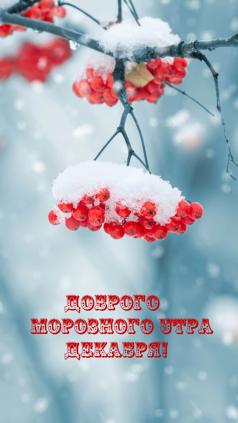 Доброго морозного утра декабря!