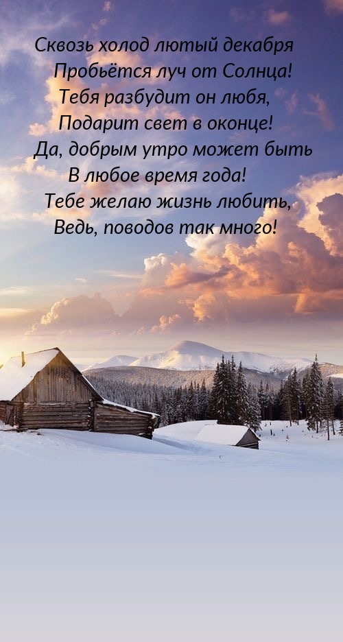 Сквозь холод лютый декабря пробьётся луч от Солнца!