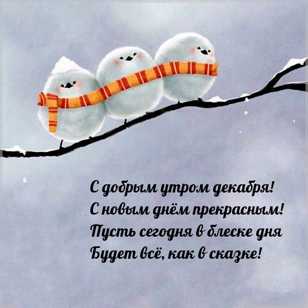 С добрым утром декабря! С новым днём прекрасным! 