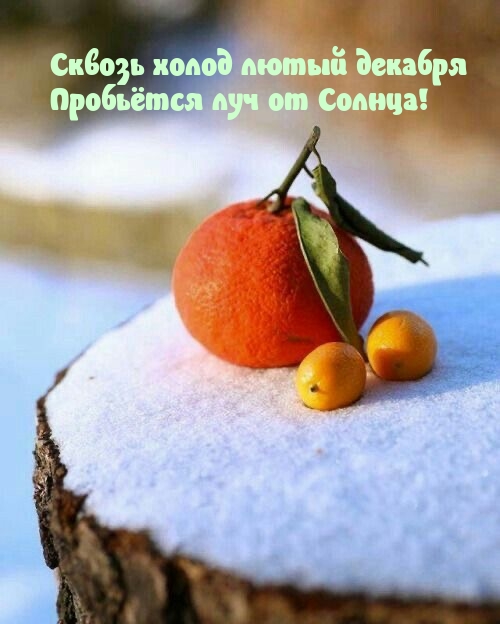 Сквозь холод лютый декабря пробьётся луч от Солнца!