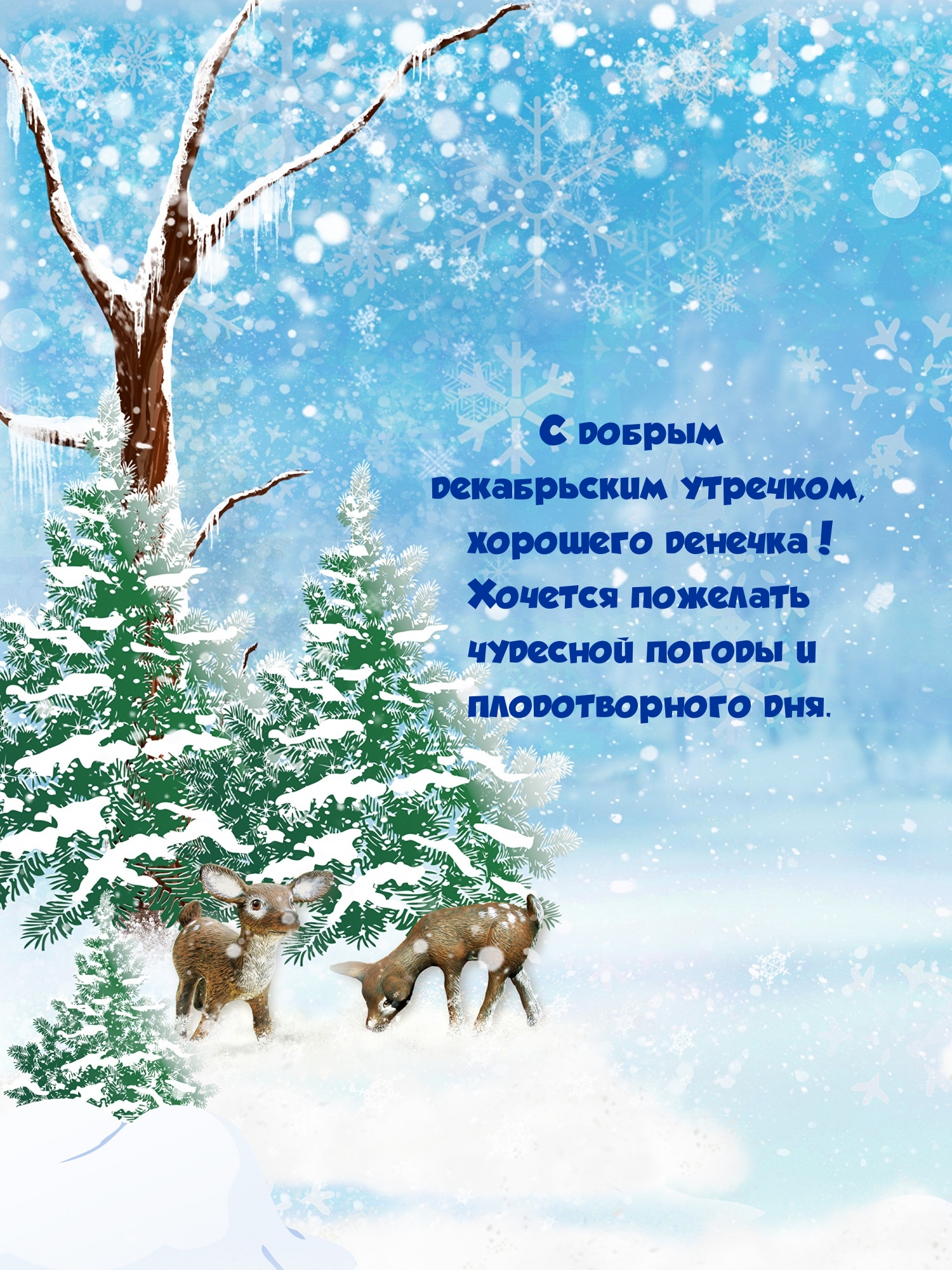 С добрым декабрьским утречком, хорошего денечка!