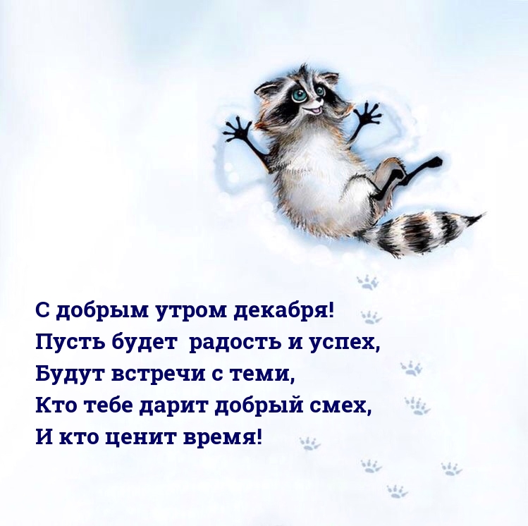 С добрым утром декабря! Пусть будет радость и успех
