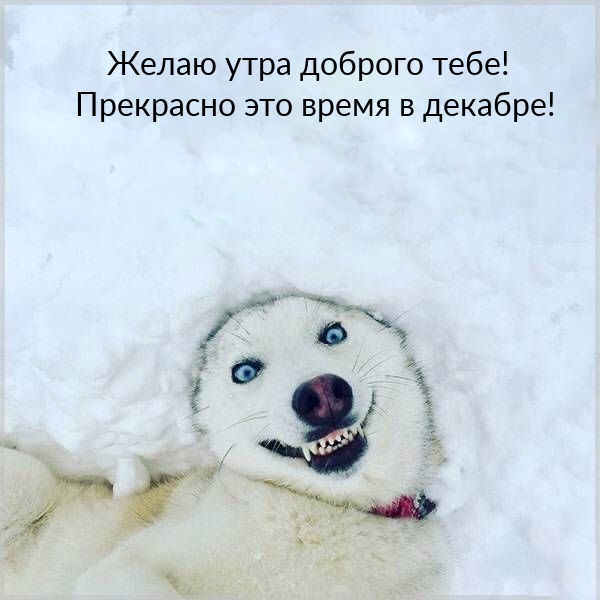 Желаю утра доброго тебе! Прекрасно это время в декабре!