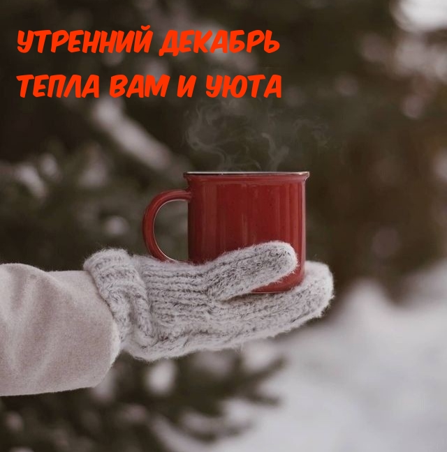 Утренний Декабрь Тепла вам и уюта