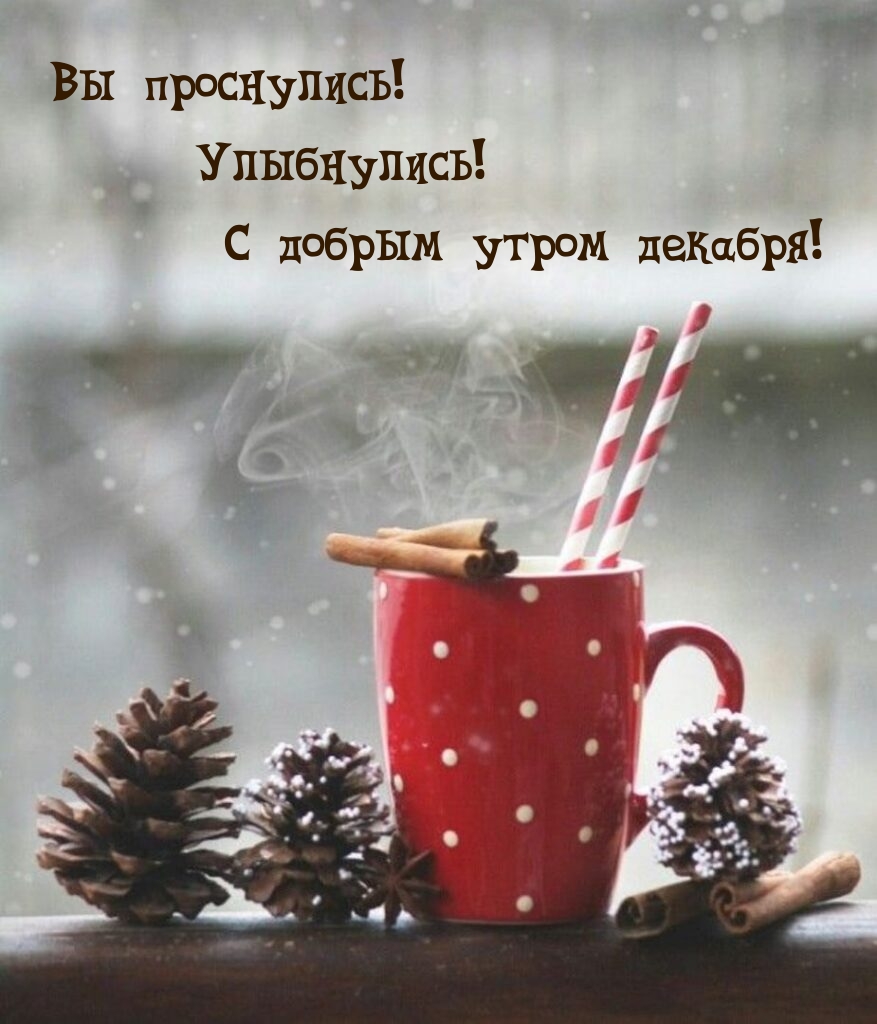 Вы проснулись! Улыбнулись! С добрым утром декабря!