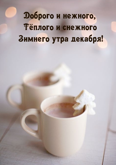 Тёплого и снежного зимнего утра декабря!