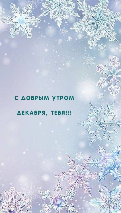 С добрым утром декабря, тебя!