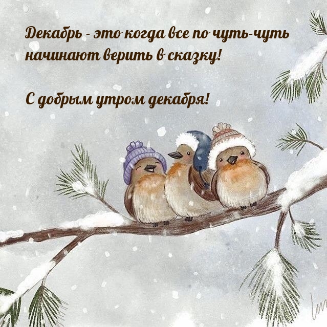Декабрь - это когда все по чуть-чуть начинают верить в сказку!
