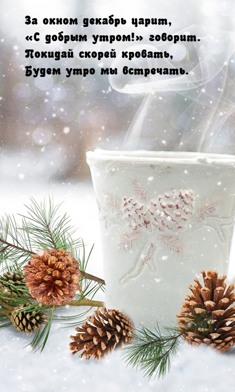 За окном декабрь царит, «С добрым утром!» говорит.