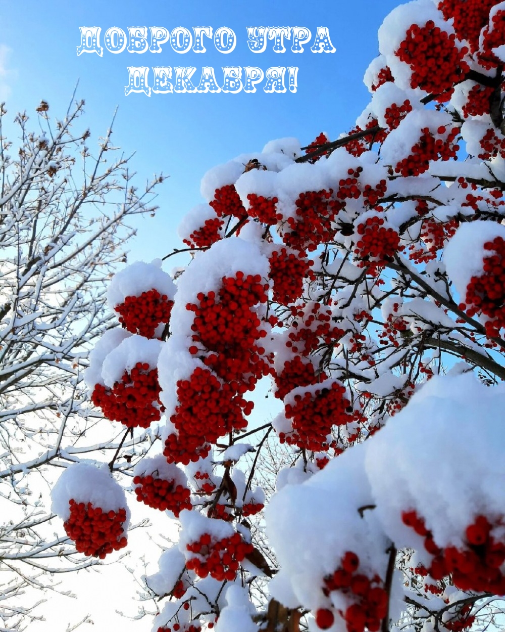 Доброго утра декабря!