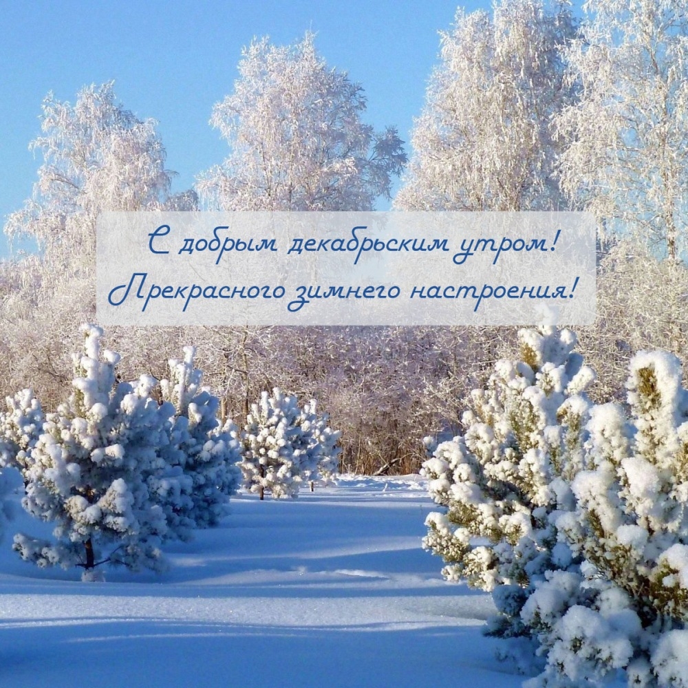 С добрым декабрьским утром! Прекрасного зимнего настроения!