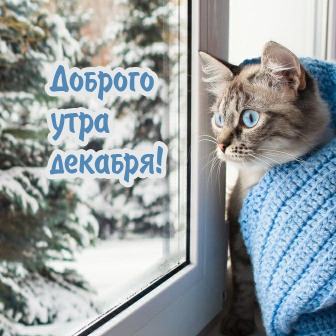 Доброго утра декабря!