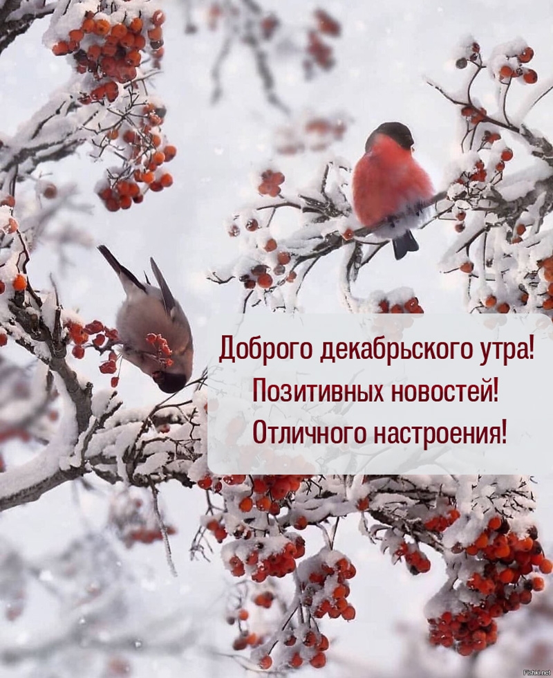 С добрым декабрьским утром! Позитивных новостей!