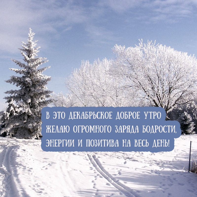 В это декабрьское доброе утро желаю огромного заряда бодрости