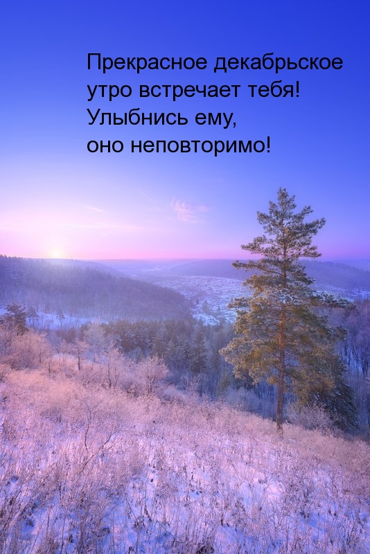 Прекрасное декабрьское утро встречает тебя!