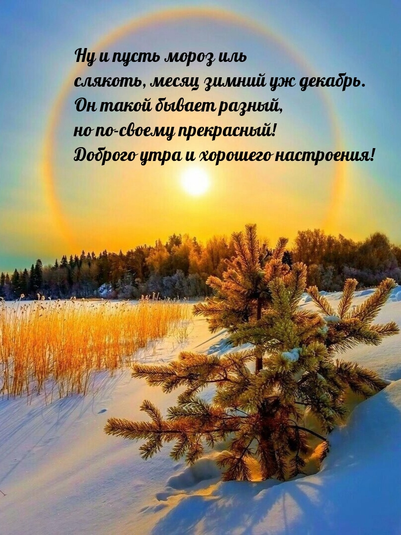 Ну и пусть мороз иль слякоть, месяц зимний уж декабрь. 