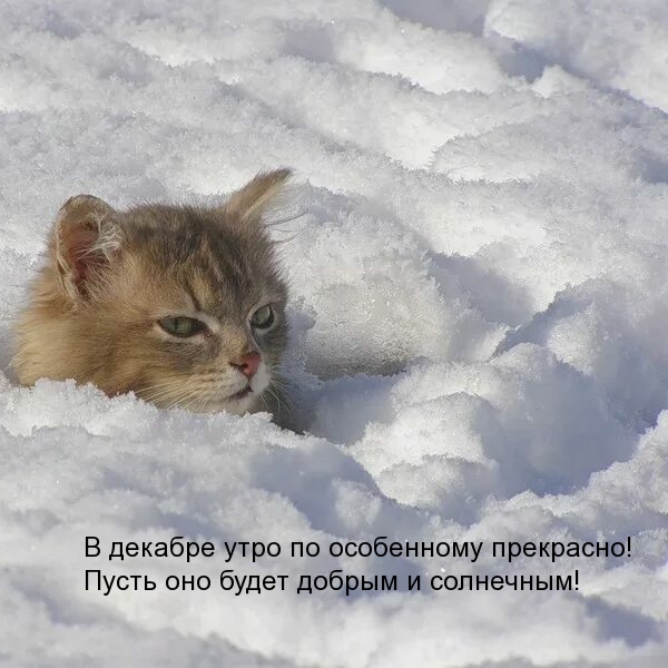 В декабре утро по особенному прекрасно!