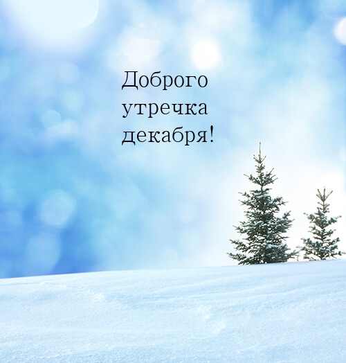 Доброго утречка декабря!