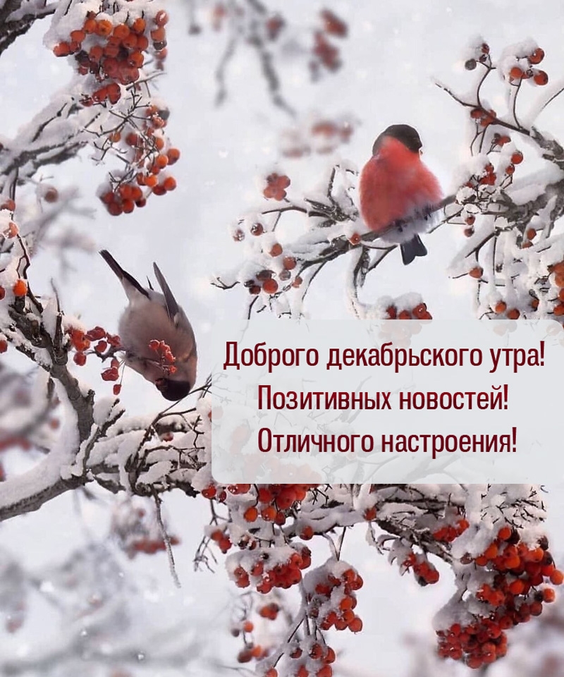 Доброго декабрьского утра! Позитивных новостей!