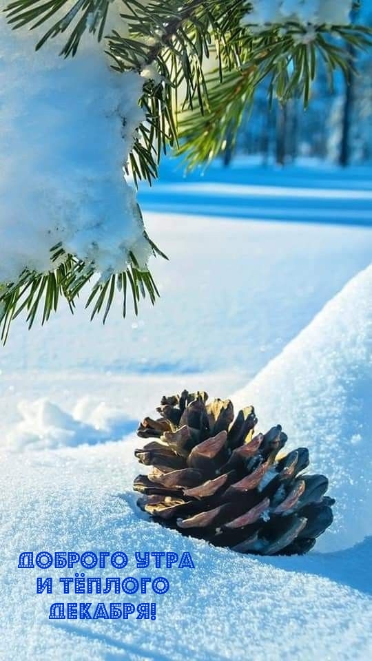 Доброго утра и тёплого Декабря! 