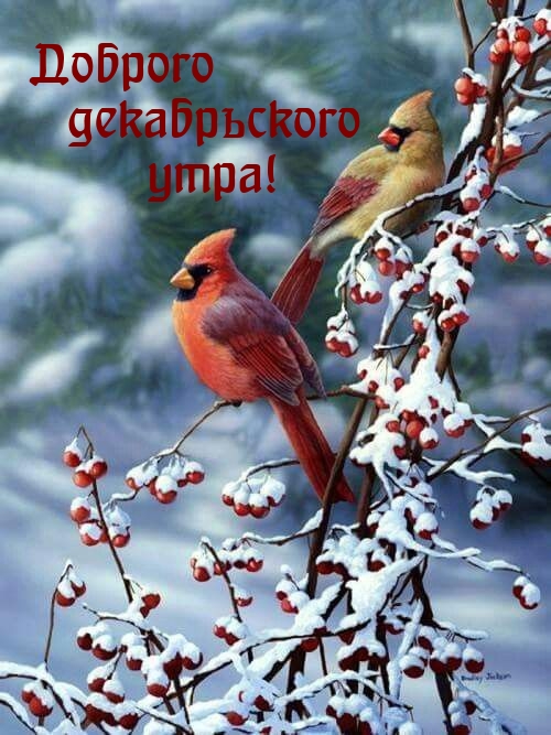 Доброго декабрьского утра!
