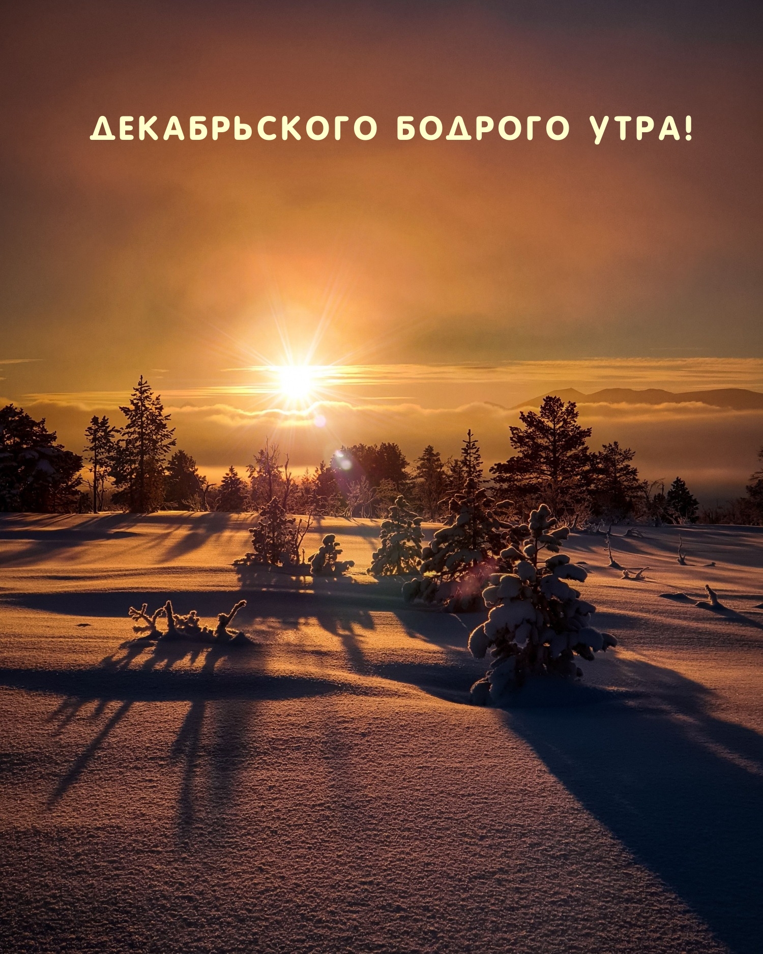 Декабрьского бодрого утра!